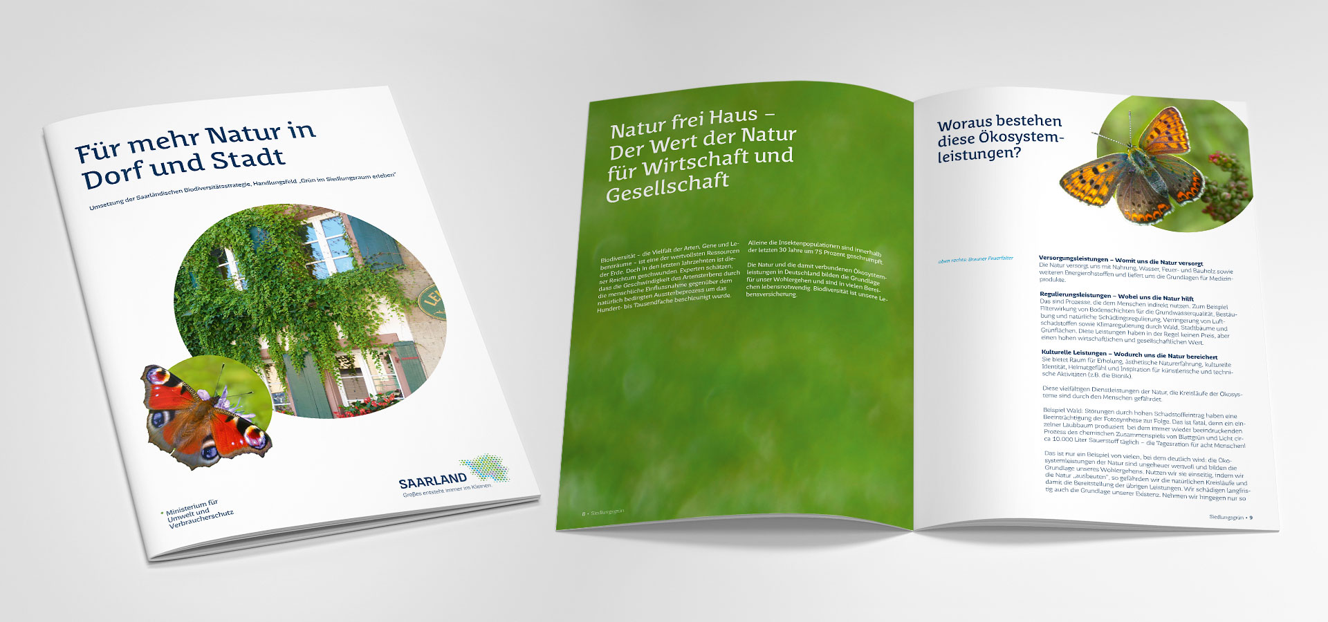 Gestaltung der Broschüre: Mehr Natur in Dorf und Stadt für das Umweltministerium
